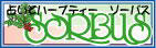 \|oX
